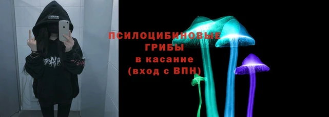 спиды Арсеньев