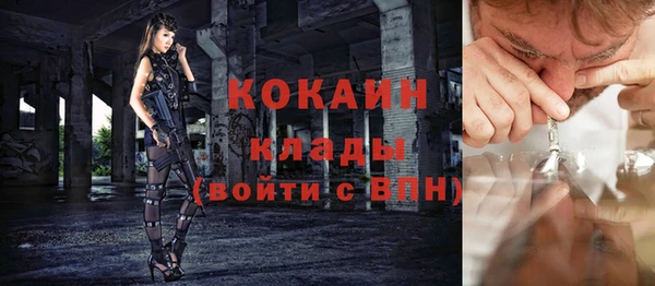 спиды Арсеньев