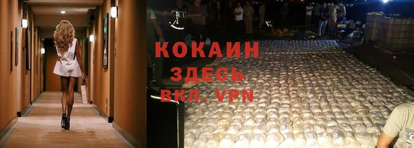spice Аркадак