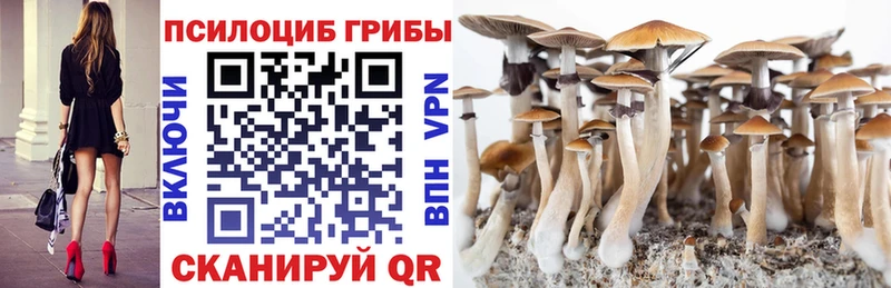 Купить  Чулым  Псилоцибиновые грибы прущие грибы 